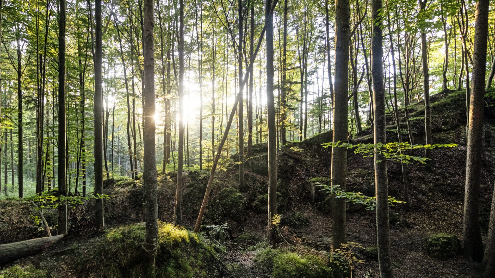 Teufelsküche (2), Ronsberg, © Peter von Felbert, Tourismusverband Ostallgäu e. V.